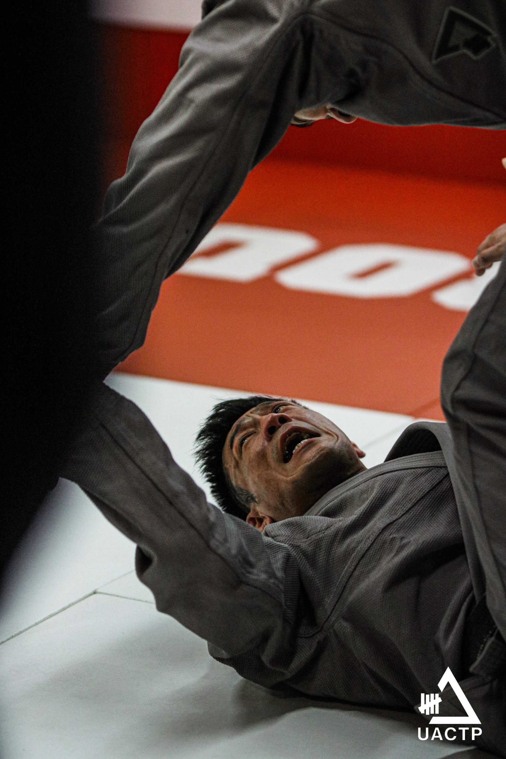 关于柔道大赛：力量与技巧的完美体现的信息