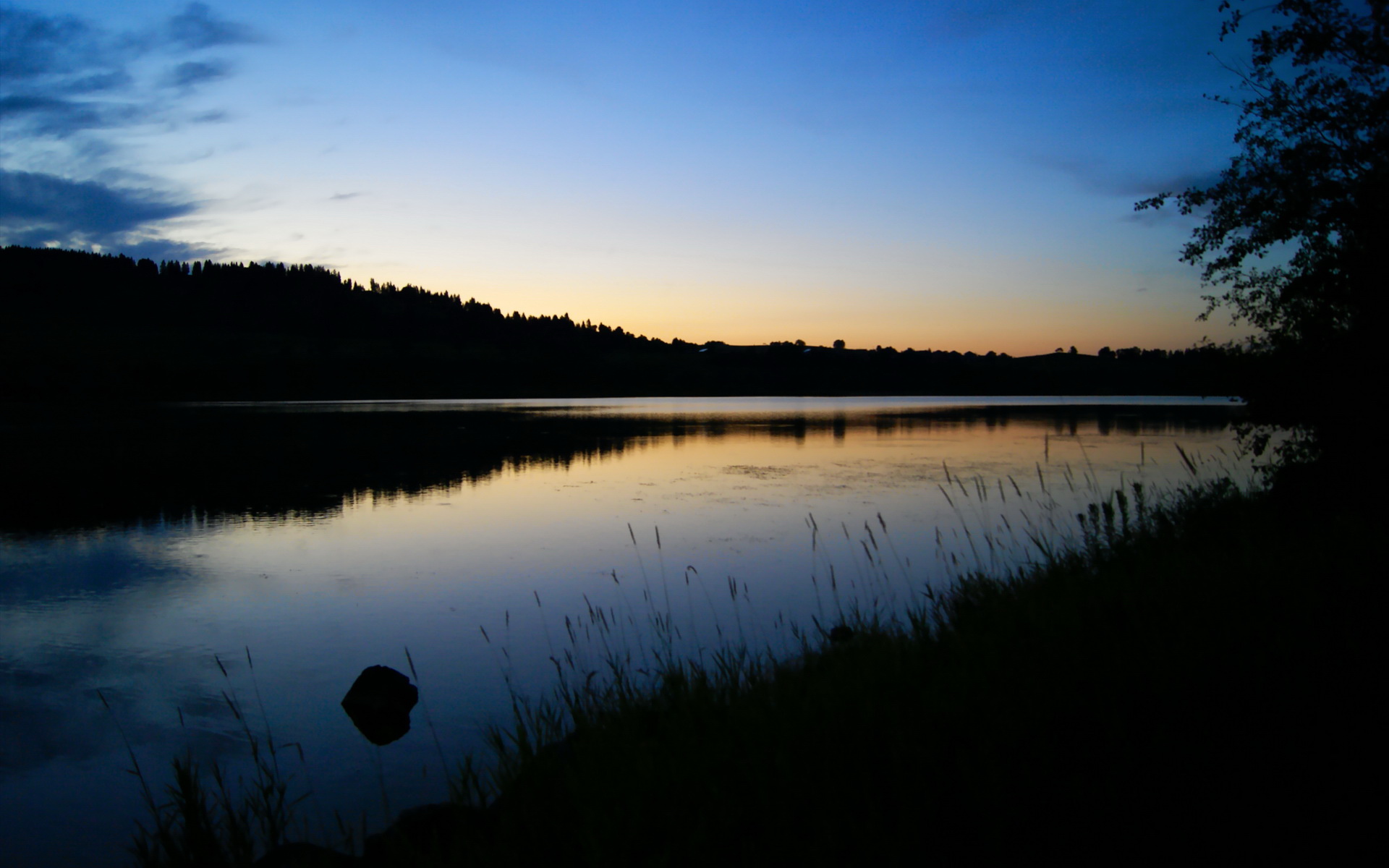 _天空跳伞大赛:俯瞰城市的速度盛宴_,跳伞比赛视频