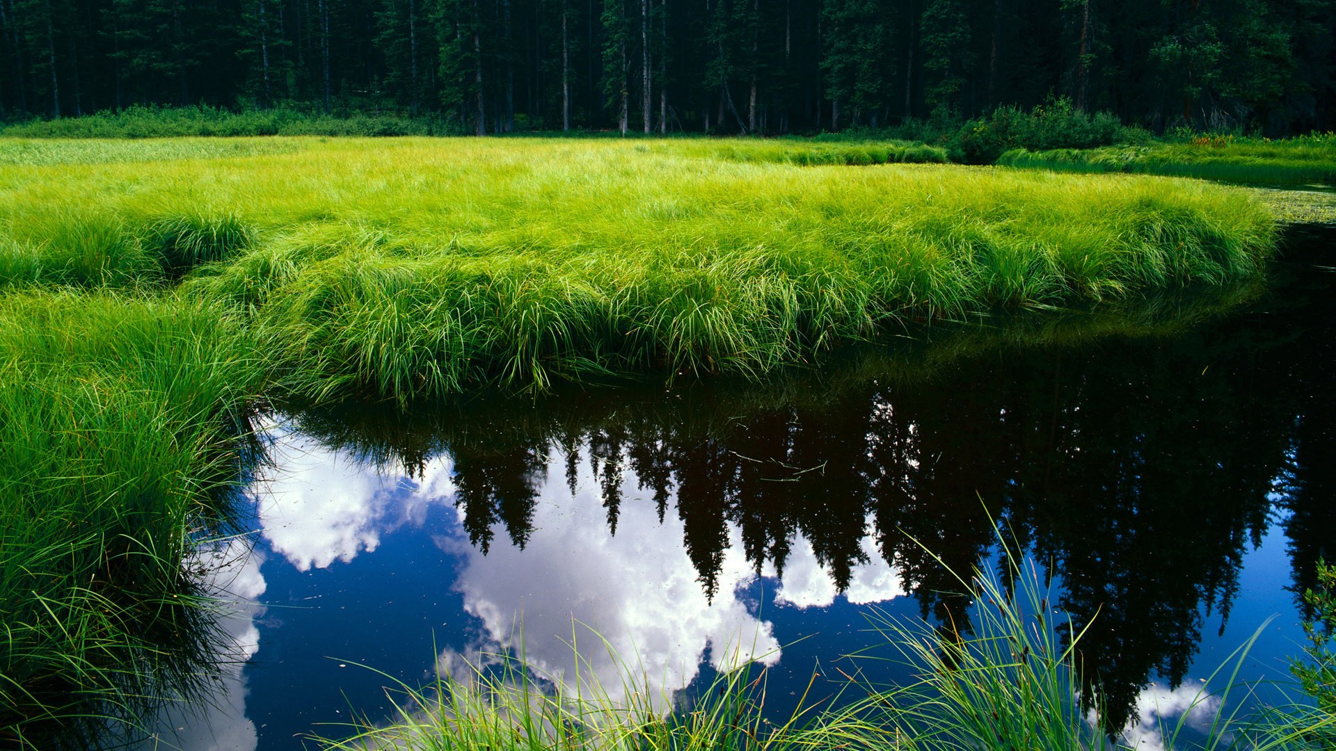 “青训+文化+旅游”深度融合模式在全国多地落地生根,行业持续繁荣