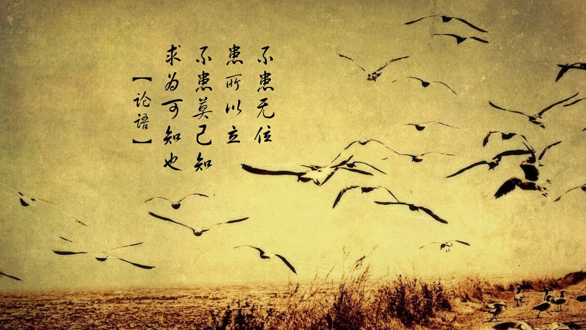 中国篮球明星积极参与运动公益,助力贫困地区孩子梦想,篮球明星中国行