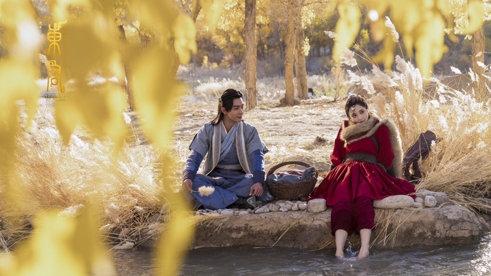 传统舞狮竞技赛，舞动青春的民族精粹