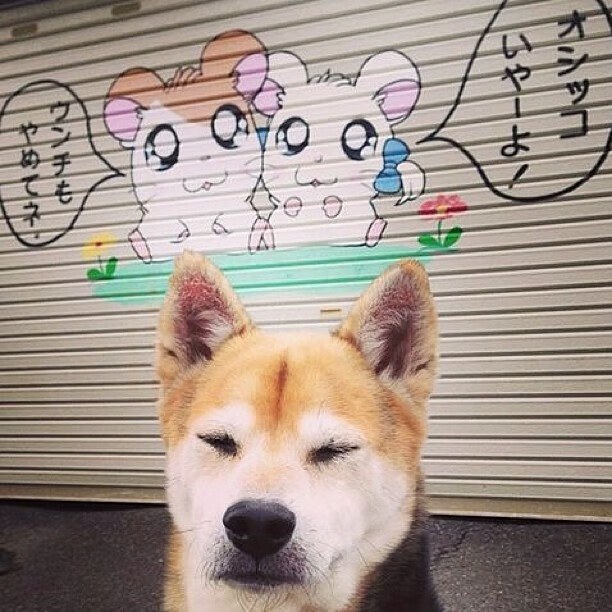 掘金中锋捐建祖国学校,树立榜样力量,掘金中锋叫什么