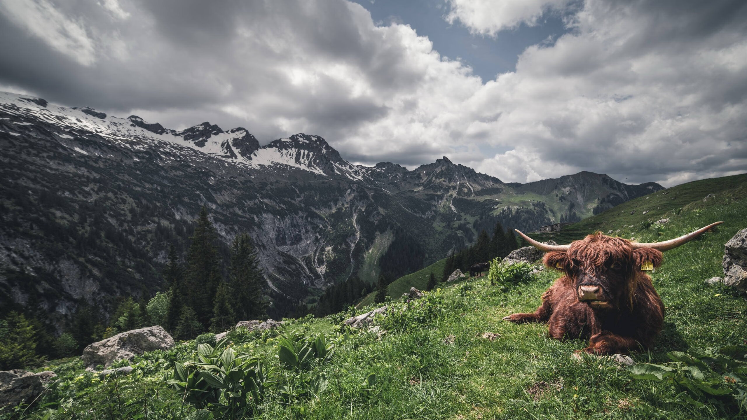 潮汐冲浪比赛：海浪中的勇士较量，冲浪 涨潮
