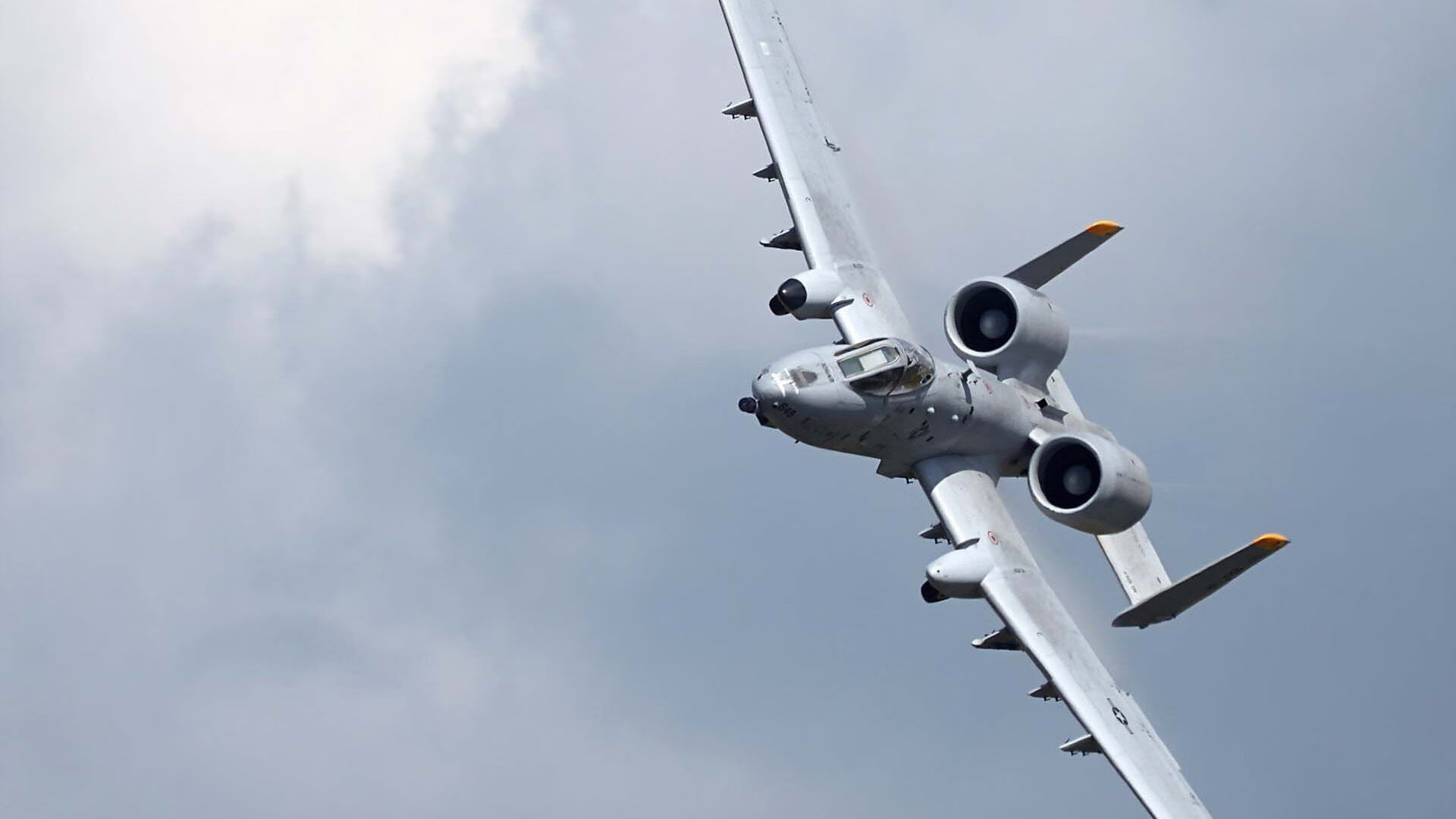 潮汐冲浪比赛:海浪中的勇士较量,冲浪 涨潮