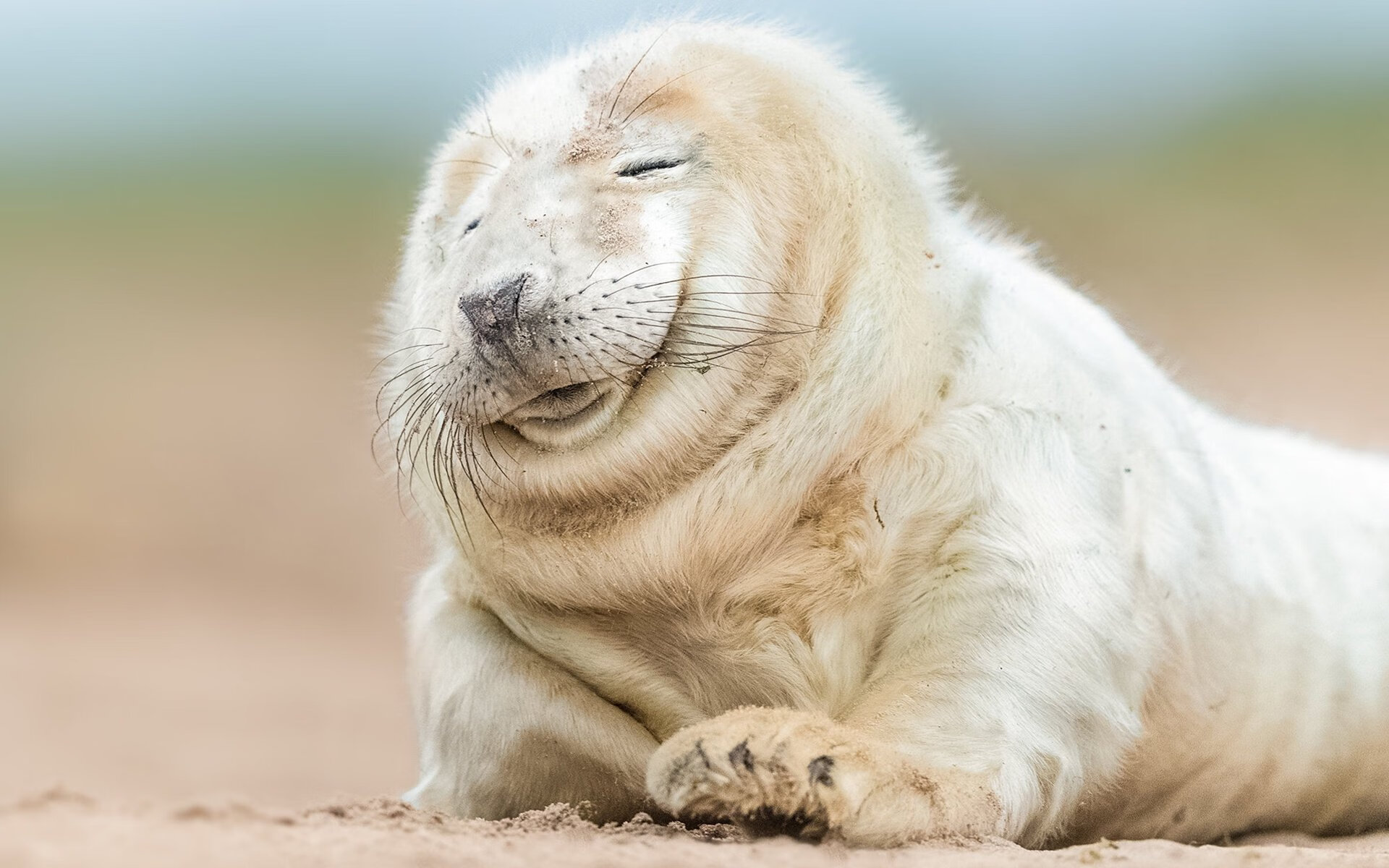 荒野行动“生存王者”线上淘汰赛持续升温，2021年荒野行动