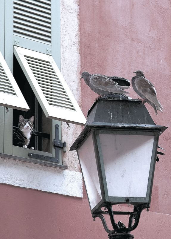 逆转奇迹!底特律从落后20分到胜利,《底特律》