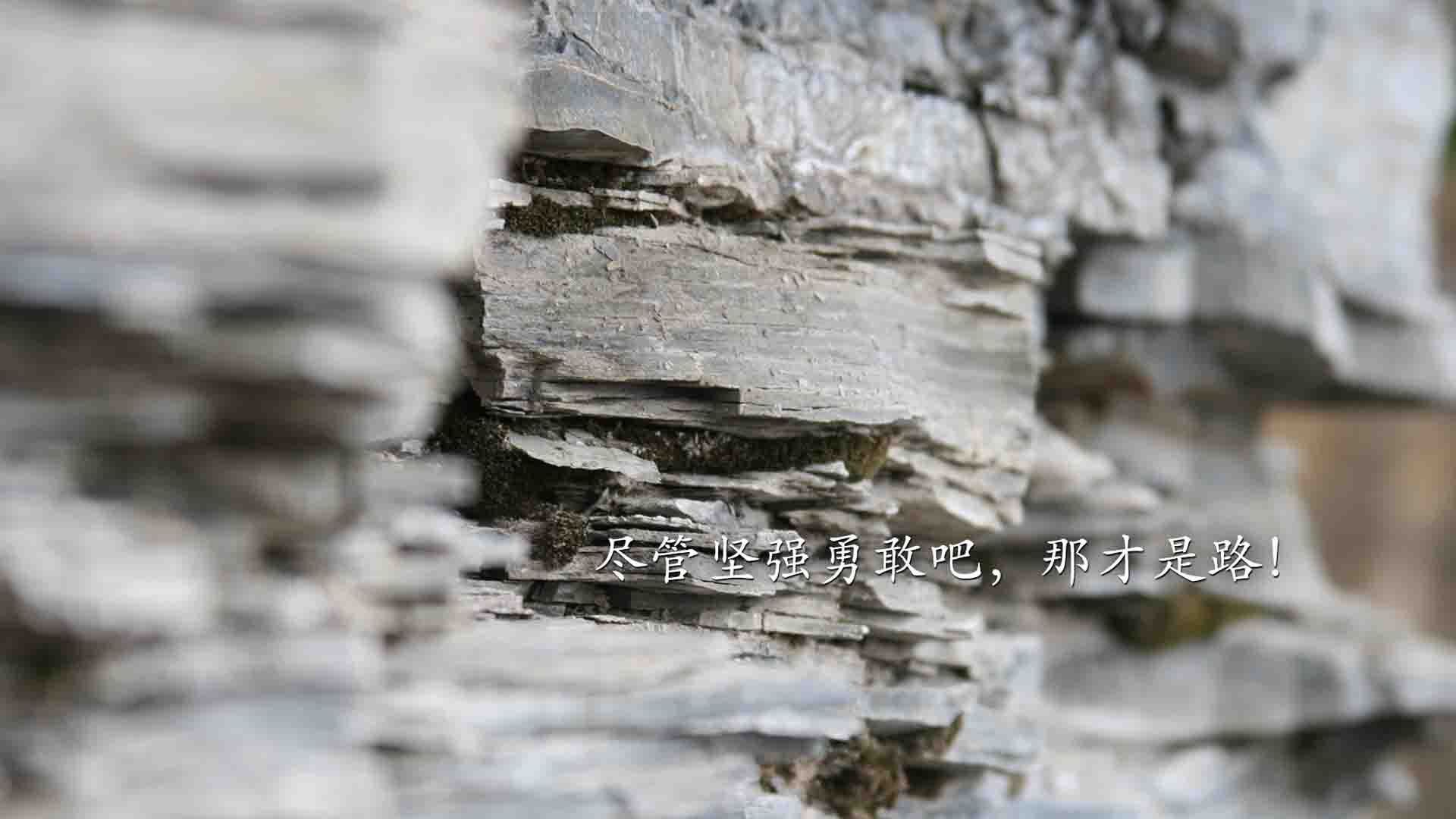 CBA球队球员心理素质培养,cba球员日常生活