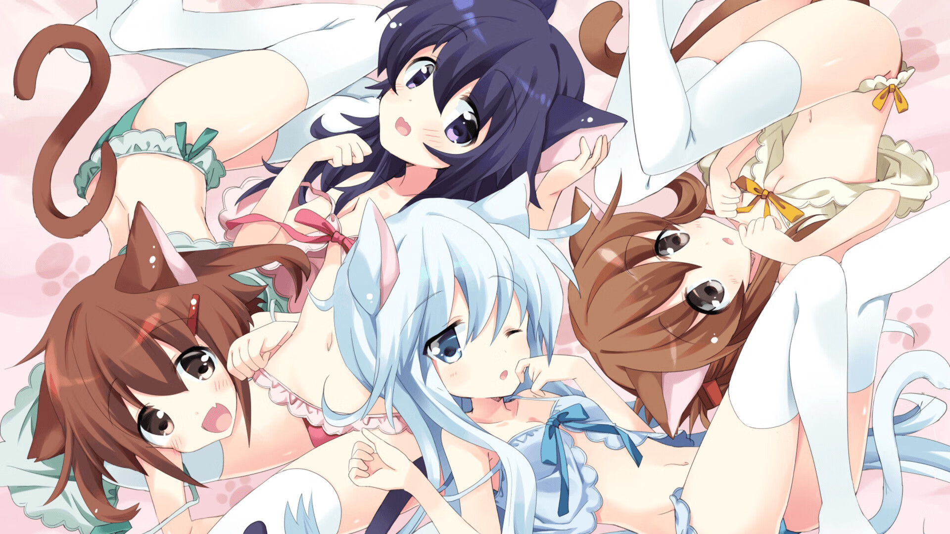 克罗地亚马术协会与兽医合作，开展马匹疾病预防与治疗研究。，克罗地亚 马耳他