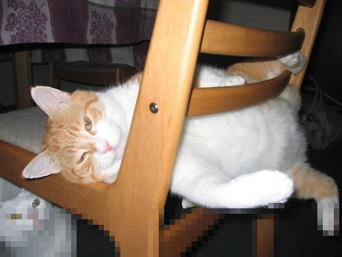 富勒姆中场组织力强,白百合能否保级?,富勒姆vs伯恩利分析