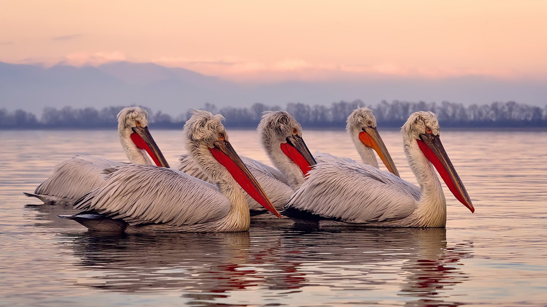 皇家马德里主场2-0战胜比利亚雷亚尔,取得胜利,皇家马德里vs比利亚雷亚尔在线观看