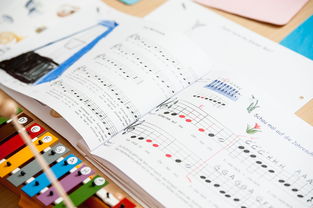 中小学体育教师继续教育体系建设与实施研究，小学体育继续教育考试试题及答案