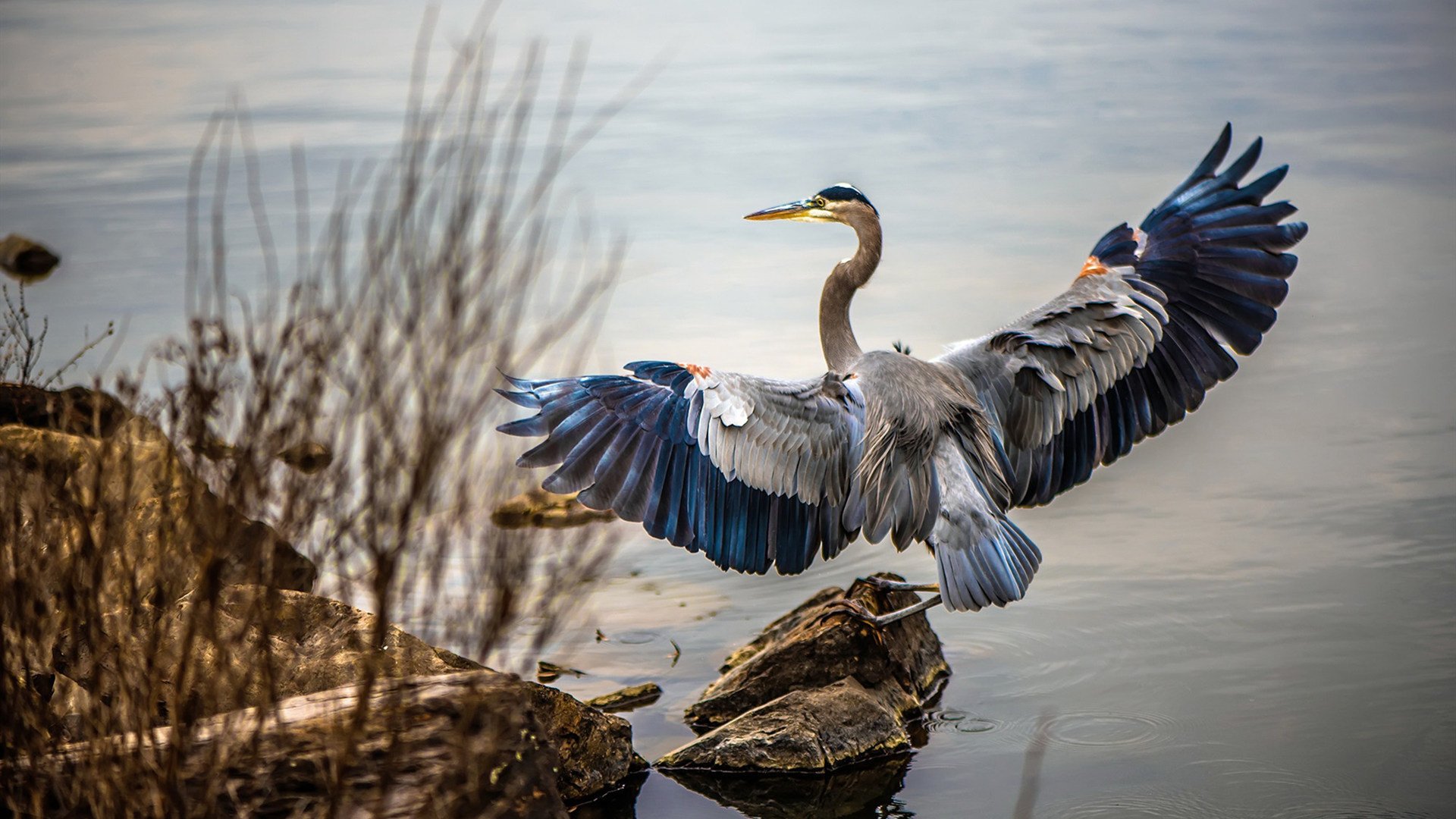 CBA球队加强投篮专项训练提升稳定性，cba投篮准的球员
