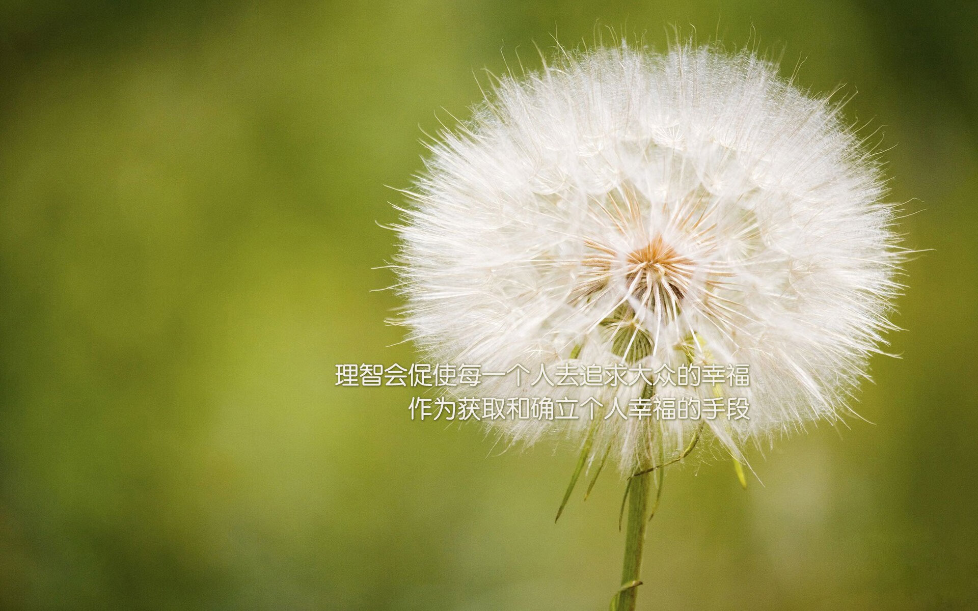 中国女篮场上默契度持续提升,中国女 篮