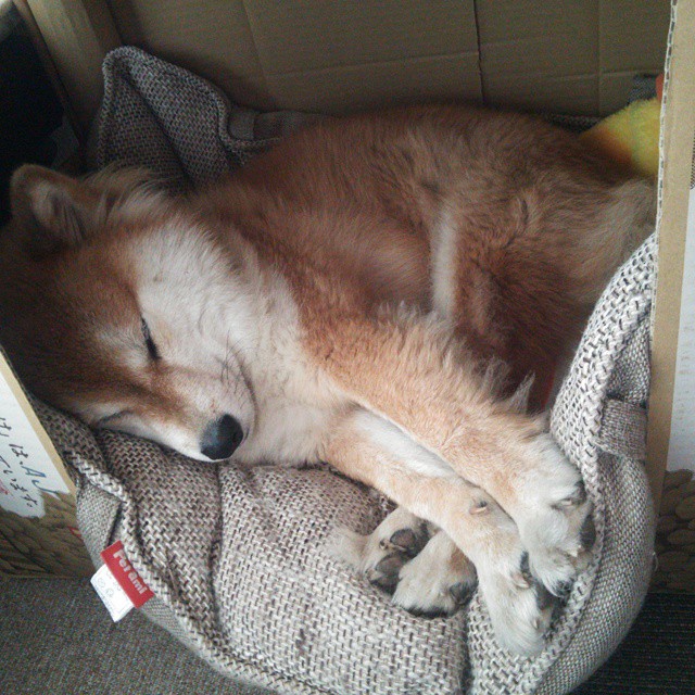 中国女篮场上默契度持续提升,中国女 篮