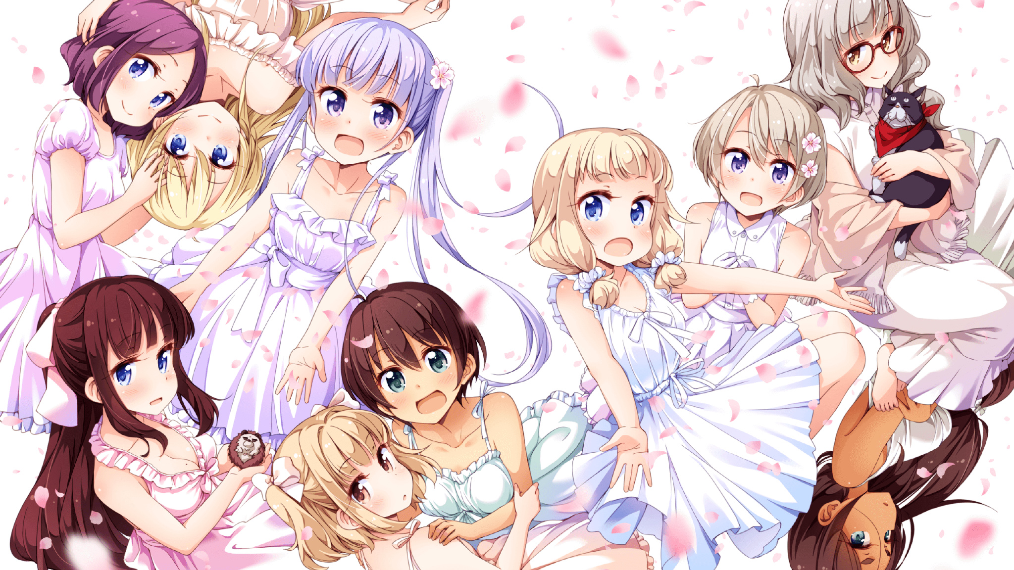 新西兰全黑队连续称霸,南非春bok队紧追其后,blenheim 新西兰