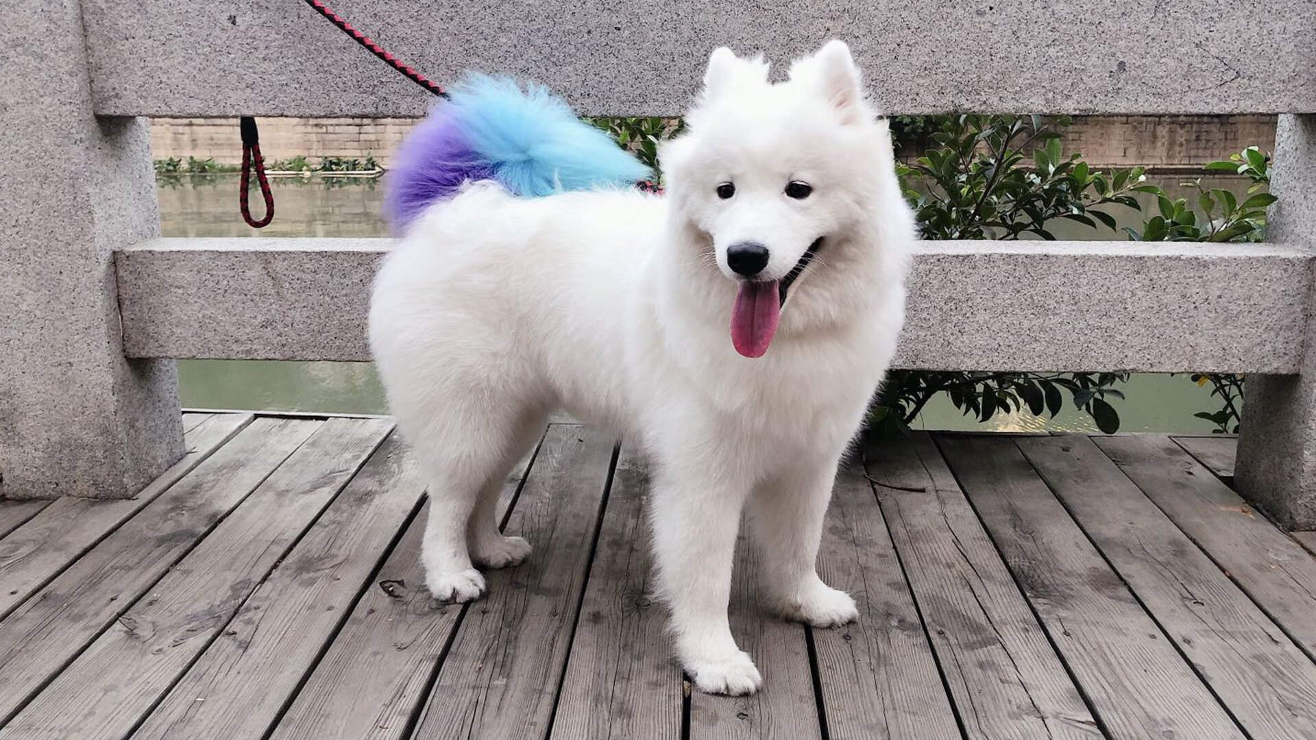 英超冠军激烈追逐：悬念不断，精彩不断！，英超列届冠军