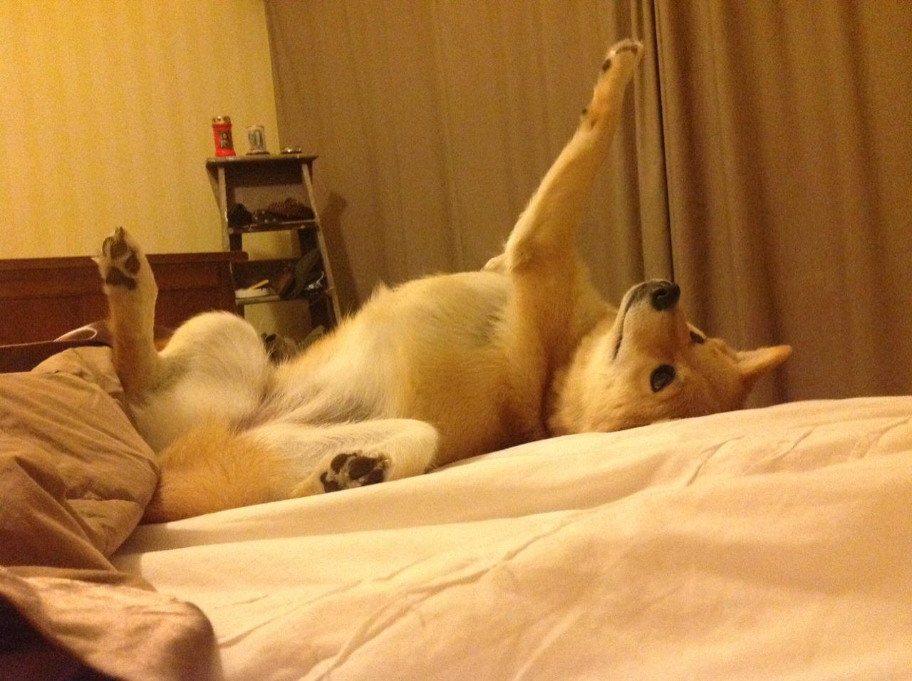 跳水选手入水角度精准获赞，跳水运动员入水角度